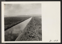 [recto] This view shows an irrigation ditch which supplies the water for the farm run by evacuee workers at this relocation center. ;  Photographer: Stewart, Francis ;  Newell, California.
