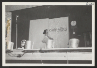 [recto] Opening scene of the Talent Show sponsored by Tri-State High School student body June 9 at Tule Lake Center to help finance the annual. Shown is Reiko Kumasaki, Nisei tot who had a toe-dancing contract with a film studio pre-evacuation. ;  Newell, Calif