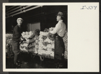 [recto] In the cooling room of the Becker plant, where the celery is placed after processing, are Mr. Howard Miyoshi (Rohwer), formerly of Florin, California, and Mr. M. Adachi (Rohwer), formerly of Long Beach, California. ;  Photographer: Iwasaki, Hikaru ;