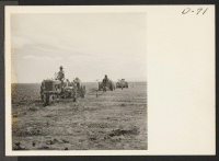 [recto] Planting time at the Tule Lake Relocation Center. ;  Photographer: Stewart, Francis ;  Newell, California.