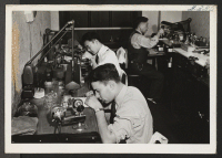 [recto] Seated at the right of the picture is Mr. Henry Katayama, working at the bench as a watchmaker for the ...