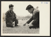 [recto] Pfc. James Oshiro and Pvt. Shuichi Tengan playing a game of mumbly-peg. Both boys, wounded while overseas with the 100th Battalion, are patients at the Moore General Hospital. ;  Photographer: Van Tassel, Gretchen ;  Swannanoa, North Carolina.