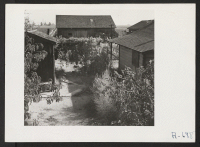 [recto] Farm formerly operated by J. Nitta--now operated by Bob Fletcher. 40 acres total. 34 acres in grapes. ;  Photographer: Stewart, Francis ;  Florin, California.