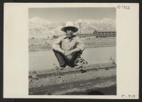 [recto] Manzanar, Calif.--This evacuee spends most of his time at the Hobby Gardens project at this War Relocation Authority center. Former occupation: nurseryman. ;  Photographer: Lange, Dorothea ;  Manzanar, California.