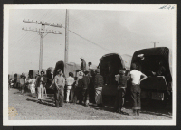 [recto] Trucks bringing segregees to the train. ;  Newell, California.