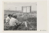 [recto] (L to R) Frank Vail, newsreel cameraman for Pathe, and Joe Rucker of Paramount photograph boundary markers. ;  Photographer: Stewart, Francis ;  Newell, California.