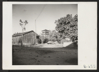 [recto] Farm owned and formerly operated by Saburo Yonehiro. 46 acres in fruit--peaches, pears and plums. ;  Photographer: Stewart, Francis ;  Penryn, California.