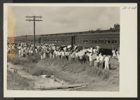 [recto] Closing of the Jerome Center, Denson, Arkansas. Scene as one train of 500 Jerome residents leaves for the Gila River Center. ;  Photographer: Mace, Charles E. ;  Denson, Arkansas.