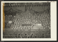 [recto] Onions and radishes (left) exhibited at the Amache Agricultural Fair, September 11 and 12. ;  Photographer: McClelland, Joe ;  Amache, Colorado.