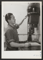 [recto] At an enlarger in the dark room of a Des Plaines, Illinois, Photo Finisher, Mas Ito, former resident of Los ...