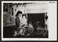 [recto] Kiyo Nakagawa (Mrs. John), formerly of Granada, and her five-year-old son, Jerry, admire Hobo, as three-year-old Dorothy Yoshida looks on. ...