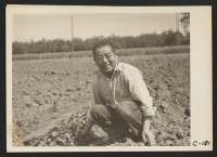 [recto] Ryohitsu Shibuya, successful chrysanthemum grower, who arrived in this country from Japan in 1904 with $60.00 and a basket of ...