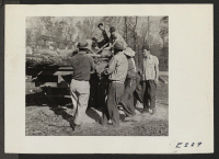 [recto] Loading cut timber for hauling to the center operated sawmill. The land is being cleared for agriculture and the wood is used for construction and fuel. ;  Photographer: Parker, Tom ;  Denson, Arkansas.
