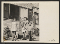[recto] Four sisters in the Mitarai family. Their father operated an industrialized farm in Santa Clara County, prior to evacuation. Farmers ...