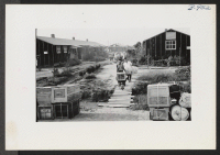 [recto] Segregees from a typical block bringing checkable baggages to the street where they received check stubs before the baggages are transported to the rail head by truck. ;  Photographer: Lynn, Charles R. ;  Denson, Arkansas.