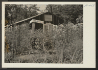 [recto] Closing of the Jerome Center, Denson, Arkansas. Block 30 goes back to nature. Some of the blocks in the Jerome ...