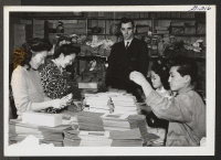 [recto] Happy at work are these four Nisei youngsters who are sorting and preparing photograph mountings in The Camera Shop location ...