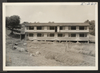 [recto] A modern poultry laying house in New Hampshire's poultry section. ;  Photographer: Iwasaki, Hikaru ; , New Hampshire.