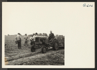 [recto] Ed B. Phillips, shown seated on the tractor, is just starting from his asparagus field with a full load of ...