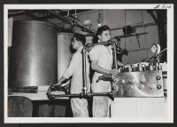 [recto] Henry Kasahara, Harry Ikebasu, and Herbert Endo, employed at the Omaha Cold Storage Company, Eighth and Farnan Streets, Omaha, Nebraska. ...