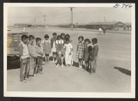 [recto] These elementary school children at the Tule Lake Center are thrilled at the sight of their first calf. ;  Photographer: Bigelow, John ;  Newell, California.