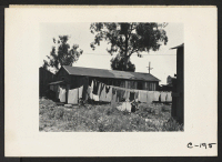 [recto] Wash-day 48 hours before evacuation of persons of Japanese ancestry from this farming community in Santa Clara County. Evacuees will be housed in War Relocation Authority centers for the duration. ;  Photographer: Lange, Dorothea ;  San Lorenzo, Calif