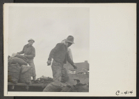 [recto] Stockton, Calif.--Field crew of Japanese ancestry, unloading potato seed, prior to evacuation. ;  Photographer: Lange, Dorothea ;  Stockton, California.