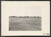 [recto] Sacramento, Calif.--View of Sacramento Assembly Center seen across the fields from road which approaches it. This Center has a capacity for 5000 persons. It is situated eleven miles north of the City. ;  Photographer: Lange, Dorothea ;  Sacramento, Ca