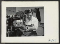 [recto] Shoe repair shop. J. K. Honda. Present occupation: shoe maker. Former occupation: farmer. Former residence: San Luis Obispo, California. ;  Photographer: Stewart, Francis ;  Poston, Arizona.