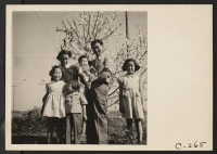 [recto] Members of the Mitarai family on their ranch, six weeks prior to evacuation. Evacuees of Japanese ancestry will be housed in War Relocation Authority centers for the duration. ;  Photographer: Lange, Dorothea ;  Mountain View, California.