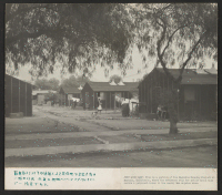 [recto] A portion of the Magnolia Housing Project at Burbank, California, where returned evacuees find temporary quarters while locating homes in the Los Angeles area. ;  Photographer: Parker, Tom ;  Burbank, California.