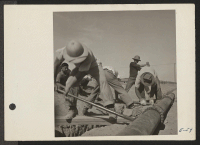 [recto] A crew of young Nisei volunteers completing the installation of water mains at the Topaz Relocation Center. ;  Photographer: Parker, Tom ;  Topaz, Utah.
