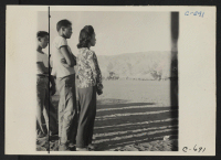 [recto] Manzanar, Calif.--Evacuees watching a ball game late in the afternoon at this War Relocation Authority center. ;  Photographer: Lange, Dorothea ;  Manzanar, California.