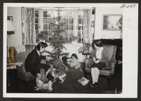 [recto] Masami Yoshida and Kiyo Nakagawa watch Jerry Nakagawa and Dorothy Yoshida playing around the Christmas tree in the living room ...