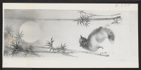 [recto] Raccoon Among The Bamboos At Night. Honorable mention was given on this entry in an art exhibit in Cambridge, Massachusetts, ...