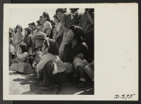 [recto] Manzanar, Calif.--Evacuees of Japanese ancestry watching Memorial Day services. Evacuee Boy Scouts took a leading part in the ceremony held at this War Relocation Authority center. ;  Photographer: Stewart, Francis ;  Manzanar, California.