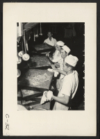 [recto] Arcadia, Calif.--Cooks of Japanese ancestry prepare meals for thousands of evacuees at the Santa Anita Assembly Center. ;  Photographer: Albers, Clem ;  Arcadia, California.