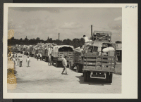 [recto] Closing of the Jerome Center, Denson, Arkansas. A caravan of trucks with household belongings moves from the Jerome Center en route to Rohwer, thirty miles distant. ;  Photographer: Mace, Charles E. ;  Denson, Arkansas.
