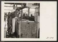 [recto] Washing vegetables in the packing shed prior to their shipment. ;  Photographer: Stewart, Francis ;  Newell, California.