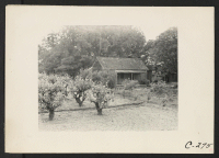 [recto] Where a day laborer of Japanese ancestry lived in the vineyard section of San Joaquin County, prior to evacuation. Horticulturists ...