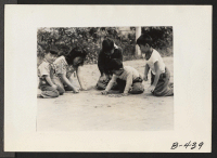[recto] Arcadia, Calif.--Young evacuees demonstrate Japanese-style marbles at Santa Anita Park assembly center. Marbles are played inside fish-shaped lines. Evacuees are transferred later to War Relocation Authority centers for the duration. ;  Photographer: Al