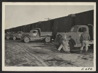 [recto] Trucks line up at the coal cars on the siding at the Heart Mountain Relocation Center, where volunteer workers unload cars and distribute coal throughout the center. ;  Photographer: Parker, Tom ;  Heart Mountain, Wyoming.