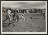 [recto] An exciting moment during a Heart Mountain football game between the All Stars and the Jack Rabbits. An attempted pass is fumbled and a member of the opposing team falls on the ball. ;  Photographer: Iwasaki, Hikaru ;  Heart Mountain, Wyoming.