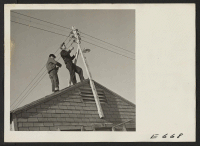 [recto] Two electricians repair wires slightly damaged by fire at the Heart Mountain Relocation Center. Resident workers of Japanese ancestry maintain all center facilities, such as electric power, water sewage, etc. ;  Photographer: Parker, Tom ;  Heart Moun