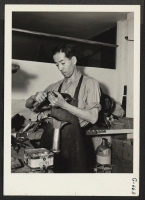 [recto] Frank H. Ito came to Kansas City on November 4, 1943. He is employed as a shoe repairman together with ...