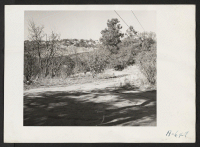 [recto] A 70 acre fruit ranch formerly operated by M. Miyamoto. This ranch, not being worked, raised principally plums, peaches and pears. ;  Photographer: Stewart, Francis ;  Penryn, California.