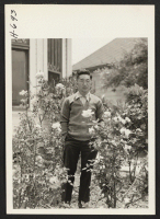 [recto] Soichi Arao from Rohwer lives at the home of a friend on South Kingsley Street in Los Angeles until his ...