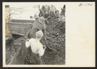 [recto] Evacuee workers unload coal at Staley Junction, which is the rail head for this center. This coal is used by the residents during the extremely cold winters which northern California offers. ;  Photographer: Stewart, Francis ;  Newell, California.