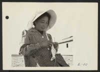 [recto] Knitting warm woolen clothing for her children against the coming winter, this Japanese mother, at the Topaz Relocation Center, takes advantage of the warm Utah sun. ;  Photographer: Parker, Tom ;  Topaz, Utah.