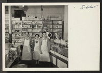 [recto] Fred Toguri, owner, June Toguri, his sister, who helps him in the store, and Masachi Hori, who is employed by ...
